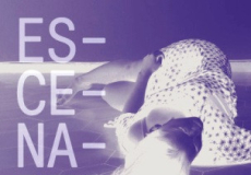 Cicle Escenaris de Vic