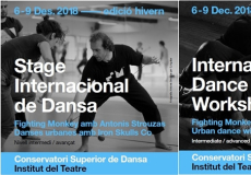 Stage Internacional de Dansa Hivern