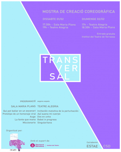 Cartell transversal 2020