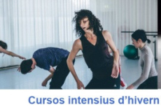 Cursos intensius hivern CSD 2017