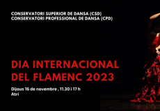 Dia Internacional del Flamenc 2023