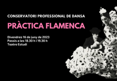 La Pràctica flamenca es durà a terme els dies 15 i 16. Fotografia: Jordi Vidal