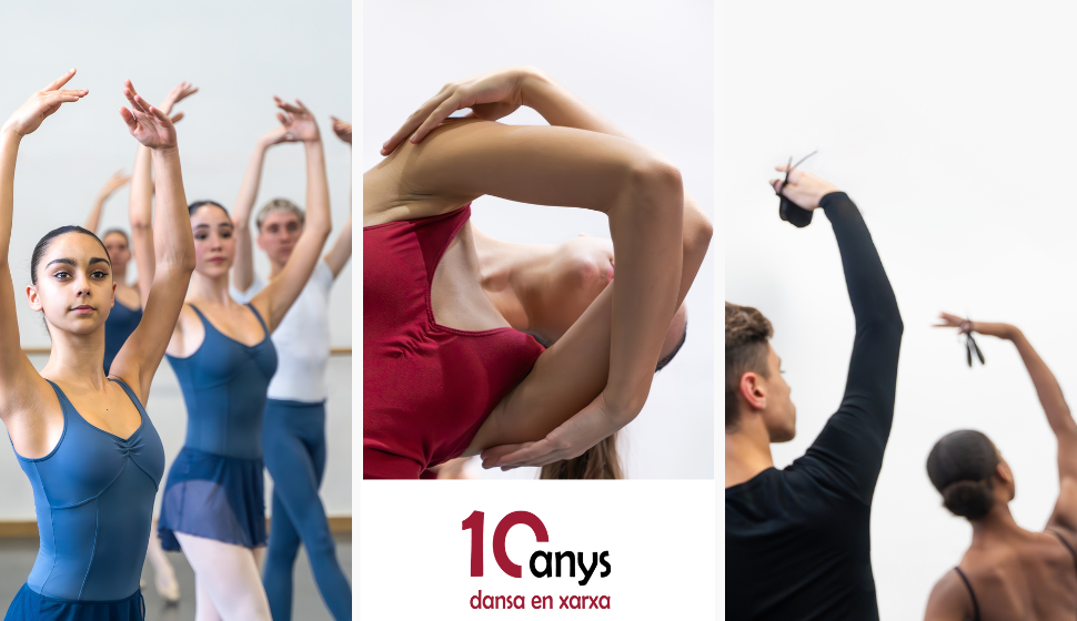 Rotador 10 anys Dansa en Xarxa