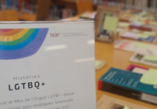 mes_lgtbi_biblio